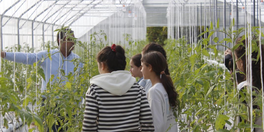 Lapsed kasvuhoones Armeenias