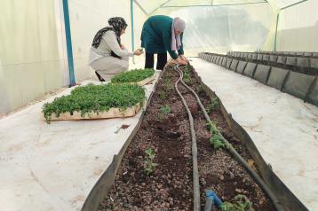 Women in a greenhouse