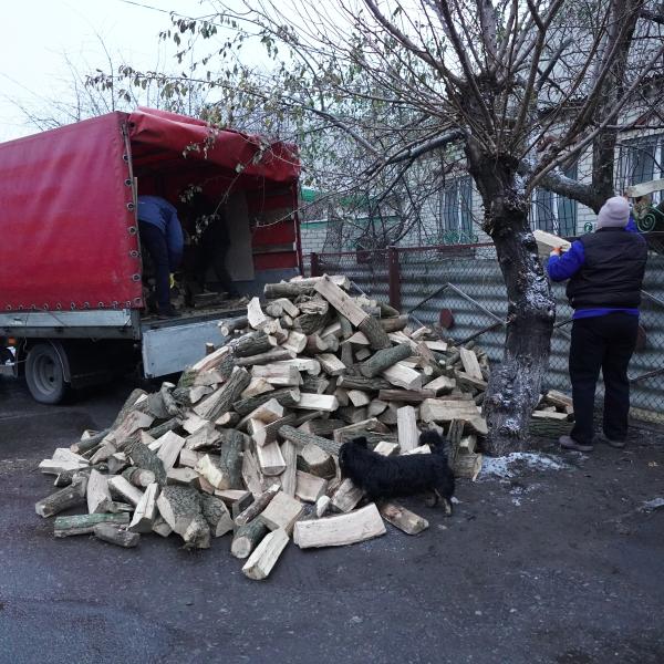 fire wood